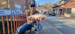 Rainbow Trout
