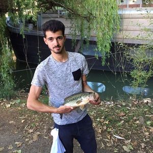 Largemouth Bass