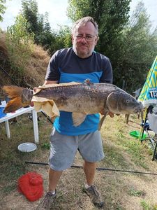 Mirror Carp