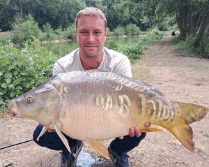 Mirror Carp