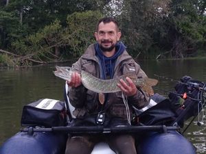 Northern Pike