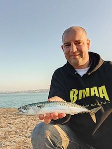 Mackerel
