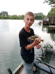 European Perch