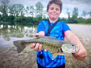 Largemouth Bass