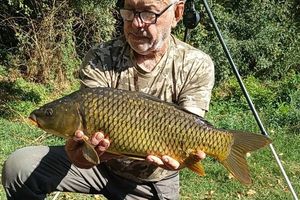 Common Carp