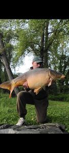 Mirror Carp