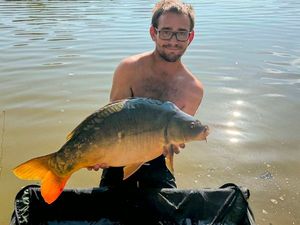 Mirror Carp