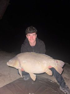 Mirror Carp
