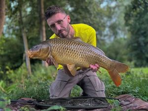 Common Carp