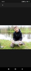 Rainbow Trout