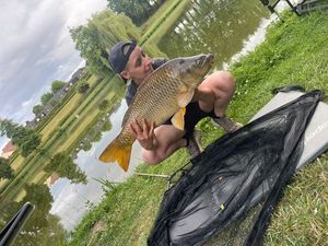 Common Carp