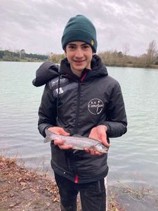 Rainbow Trout