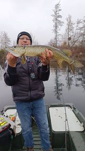 Brochet 
