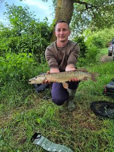 Northern Pike
