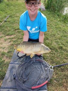 Mirror Carp