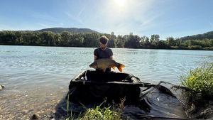 Common Carp