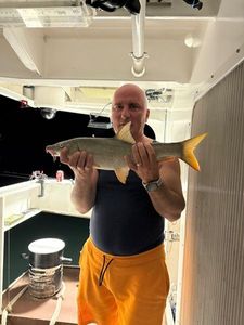 Barbel