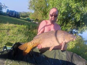 Mirror Carp