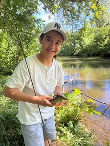 European Perch