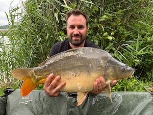 Mirror Carp