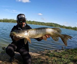 Northern Pike