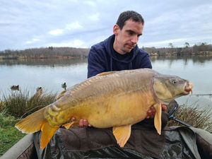 Mirror Carp