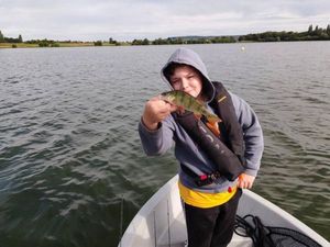European Perch