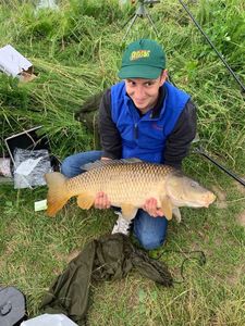 Common Carp