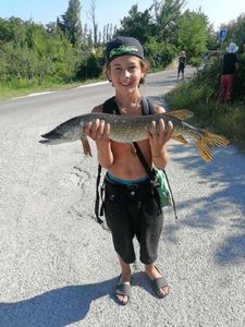 Brochet 