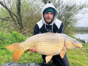 Common Carp