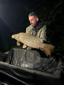 Common Carp