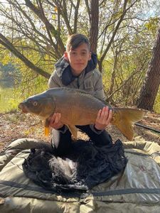 Mirror Carp