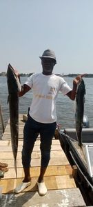 Guachanche Barracuda