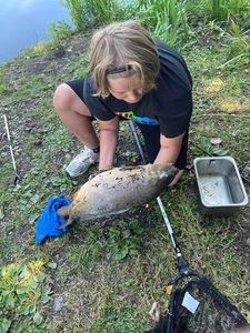 Mirror Carp