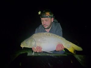 Mirror Carp
