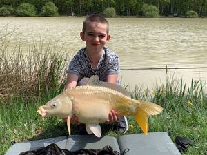 Common Carp