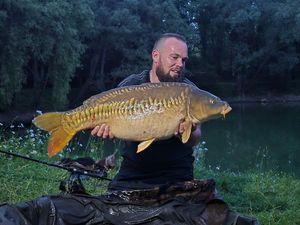 Mirror Carp