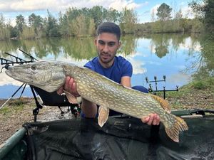 Northern Pike