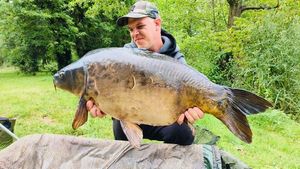 Mirror Carp
