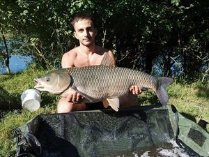 Grass Carp