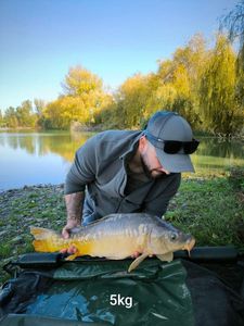 Mirror Carp