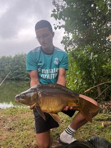 Mirror Carp