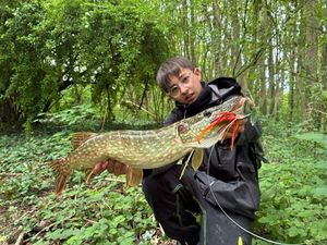 Northern Pike