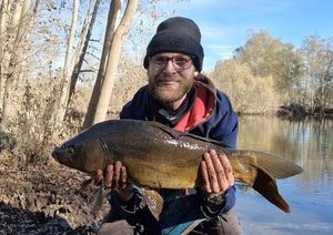 Common Carp