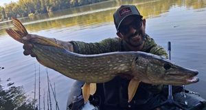Northern Pike