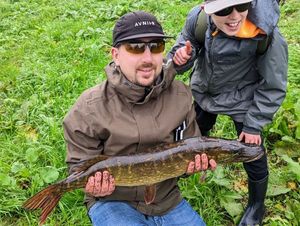 Northern Pike