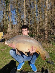 Mirror Carp