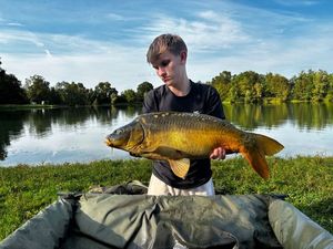 Mirror Carp