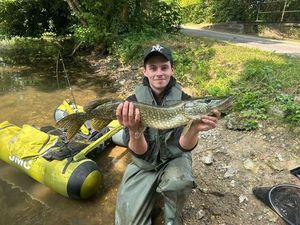 Northern Pike