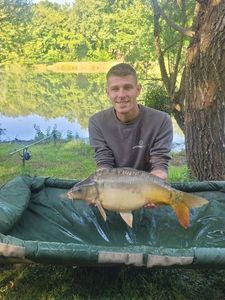 Mirror Carp
